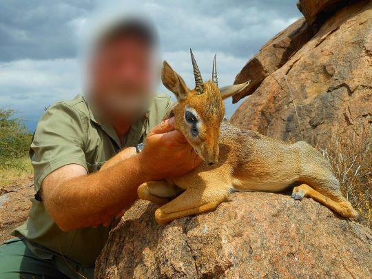 Leopard Hunting in Namibia & Brown Hyena Cancelation Hunt