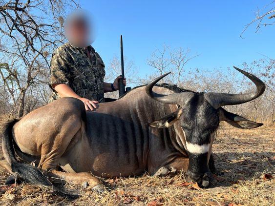 Leopard Hunting in Namibia & Brown Hyena Cancelation Hunt