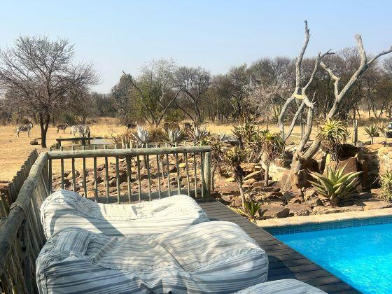 Leopard Hunting in Namibia & Brown Hyena Cancelation Hunt