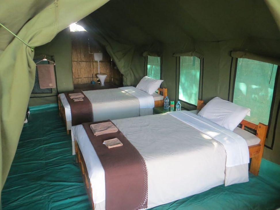 Leopard Hunting in Namibia & Brown Hyena Cancelation Hunt