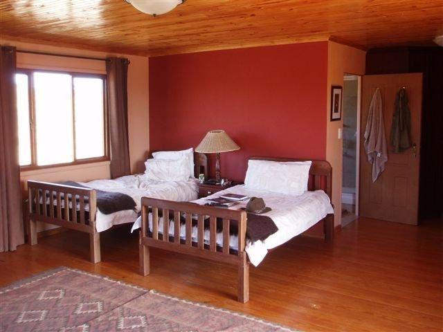 Leopard Hunting in Namibia & Brown Hyena Cancelation Hunt