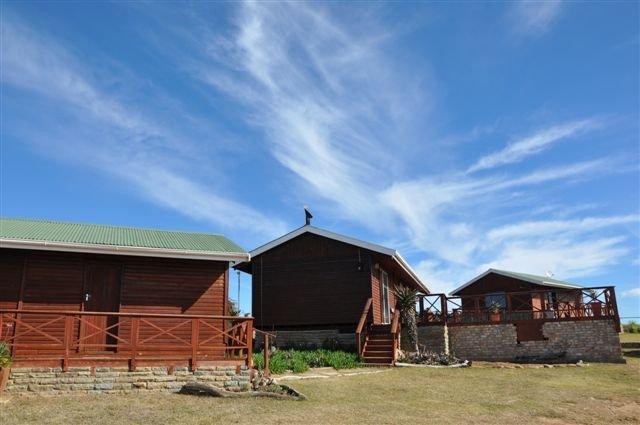 Leopard Hunting in Namibia & Brown Hyena Cancelation Hunt