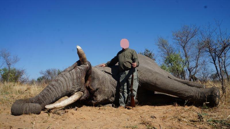 Leopard Hunting in Namibia & Brown Hyena Cancelation Hunt