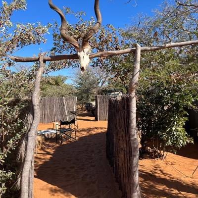 Leopard Hunting in Namibia & Brown Hyena Cancelation Hunt