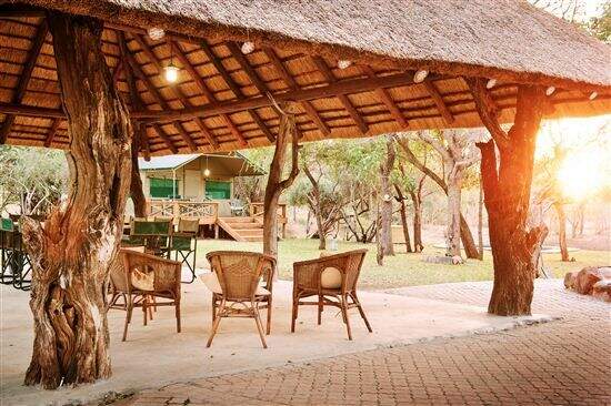 Plains Game Hunting in SA, Trophy Sable and 4 Species 