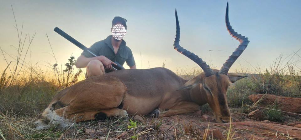 Plains Game Hunting in South Africa, Small Antelope in Limpopo