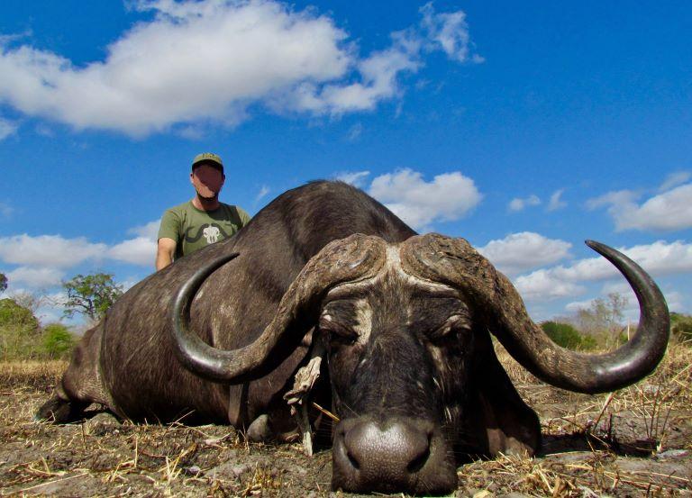 Cape Buffalo Hunting in the Selous Tanzania 1 x 2 or 2 x 1