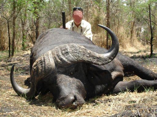 Leopard Hunting in Namibia & Brown Hyena Cancelation Hunt