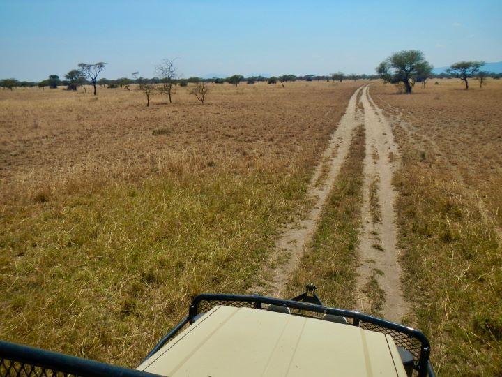 Leopard Hunting in Namibia & Brown Hyena Cancelation Hunt