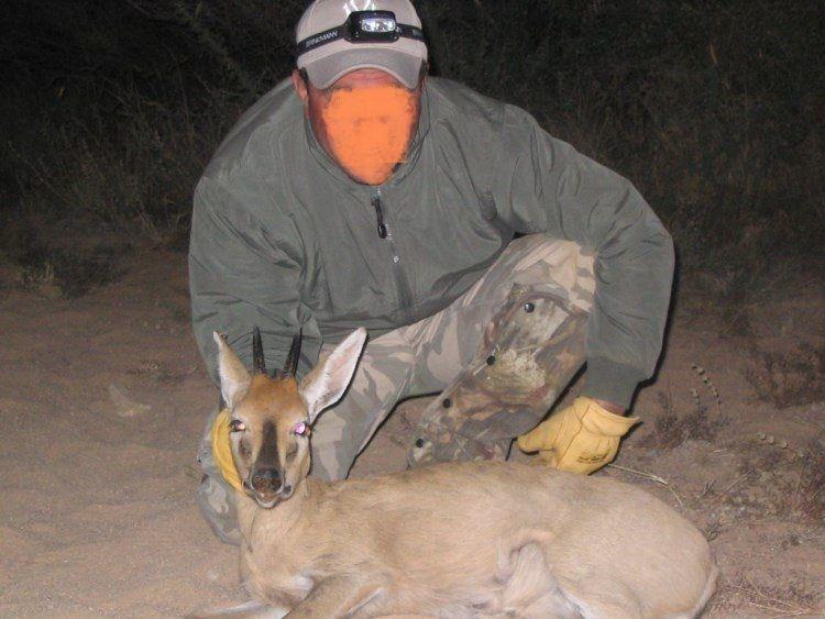 Leopard Hunting in Namibia & Brown Hyena Cancelation Hunt
