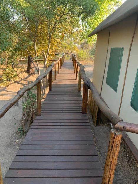 Leopard Hunting in Namibia & Brown Hyena Cancelation Hunt