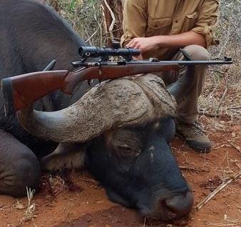 Cape Buffalo Cow Hunt, 5 Antelope & 4 Cull Animals