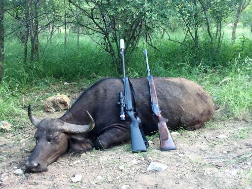 Leopard Hunting in Namibia & Brown Hyena Cancelation Hunt