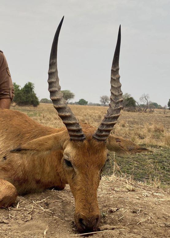 Leopard Hunting in Namibia & Brown Hyena Cancelation Hunt
