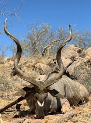 Africa Plains Game 12 Days x 6 Antelope in Namibia