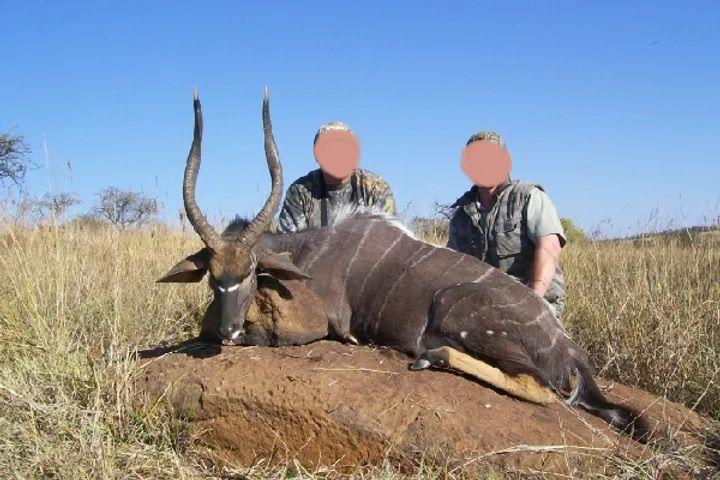 Leopard Hunting in Namibia & Brown Hyena Cancelation Hunt