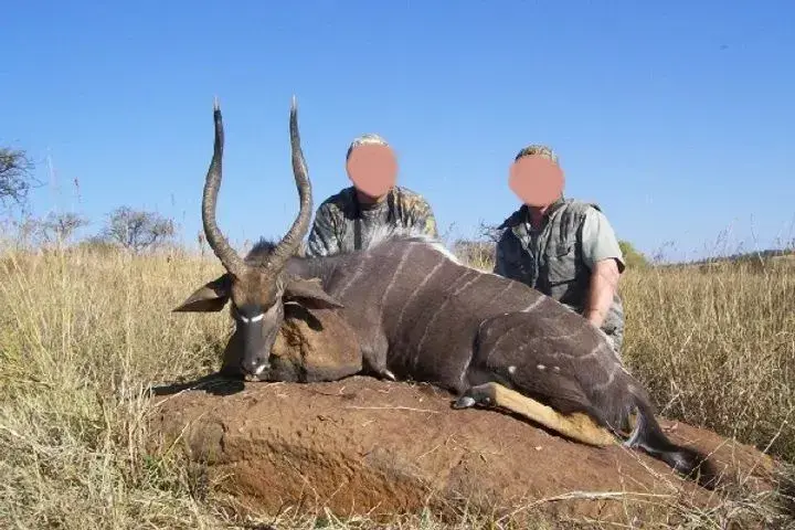 Leopard Hunting in Namibia & Brown Hyena Cancelation Hunt