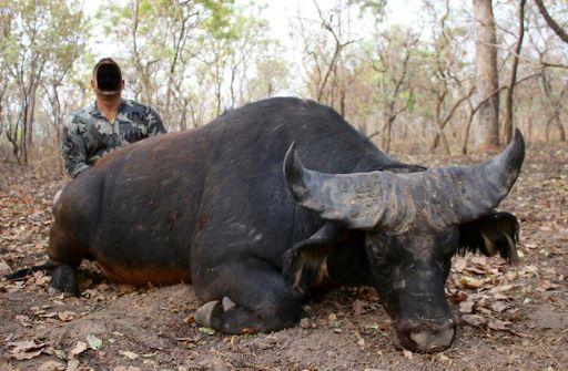 Leopard Hunting in Namibia & Brown Hyena Cancelation Hunt