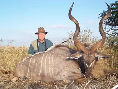 Leopard Hunting in Namibia & Brown Hyena Cancelation Hunt