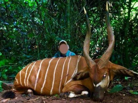 Leopard Hunting in Namibia & Brown Hyena Cancelation Hunt