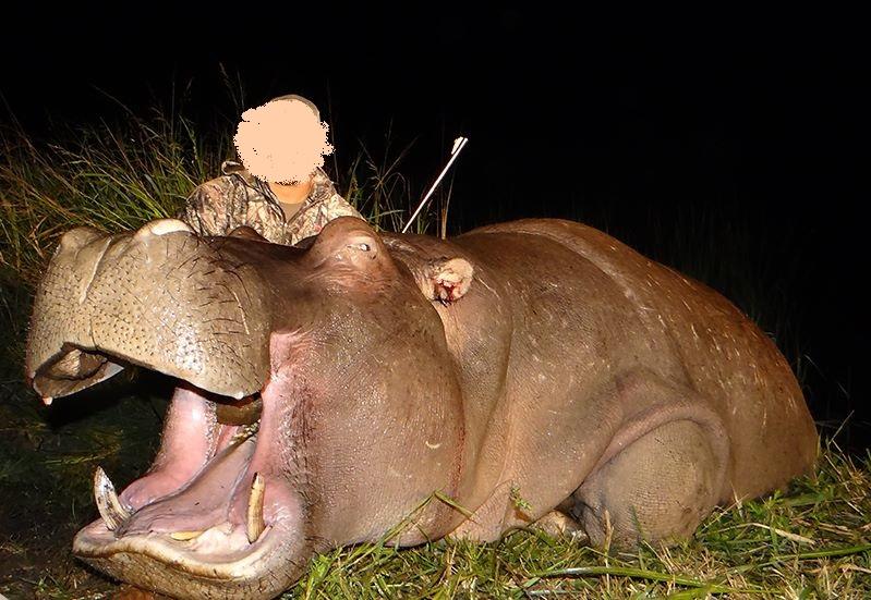 Hippo Hunting trip in SA, Plus Hyena, Bushpig & More!