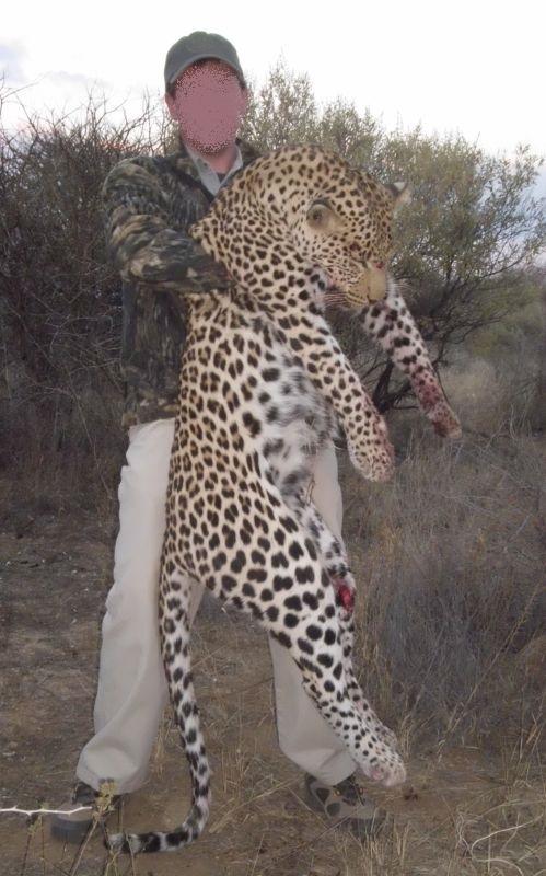 Leopard Hunting in Namibia & Brown Hyena Cancelation Hunt
