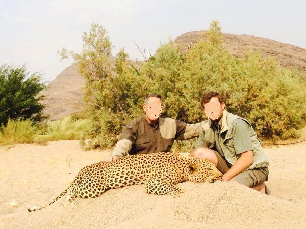 Leopard Hunting in Namibia & Brown Hyena Cancelation Hunt