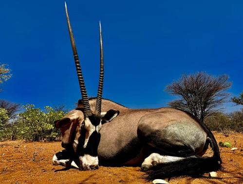 Leopard Hunting in Namibia & Brown Hyena Cancelation Hunt