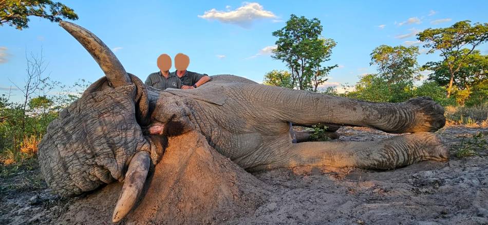 Leopard Hunting in Namibia & Brown Hyena Cancelation Hunt