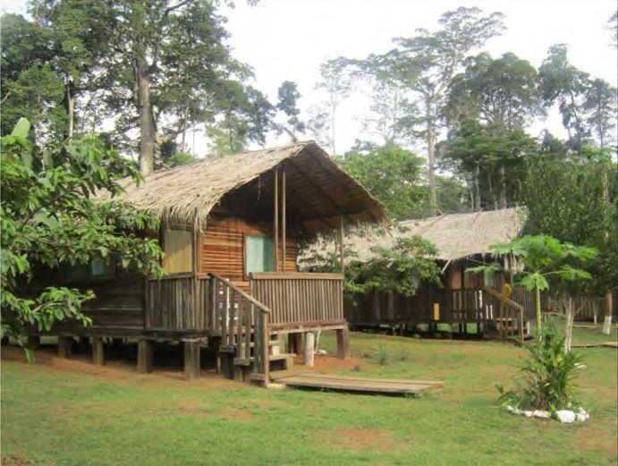 Leopard Hunting in Namibia & Brown Hyena Cancelation Hunt