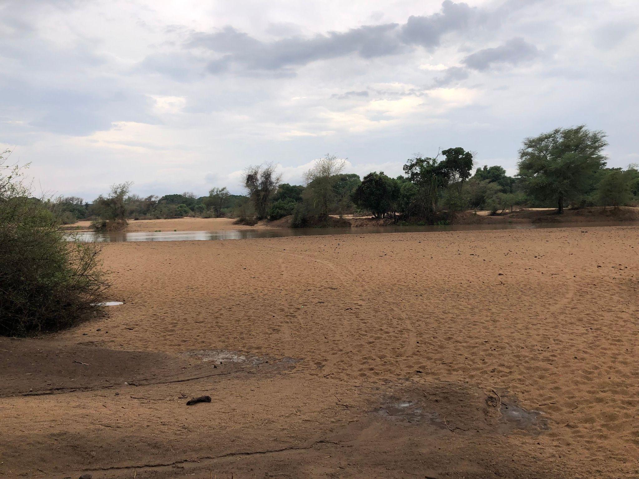 Leopard Hunting in Namibia & Brown Hyena Cancelation Hunt