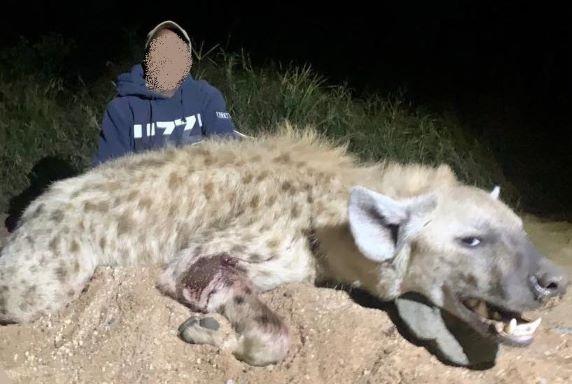 Leopard Hunting in Namibia & Brown Hyena Cancelation Hunt