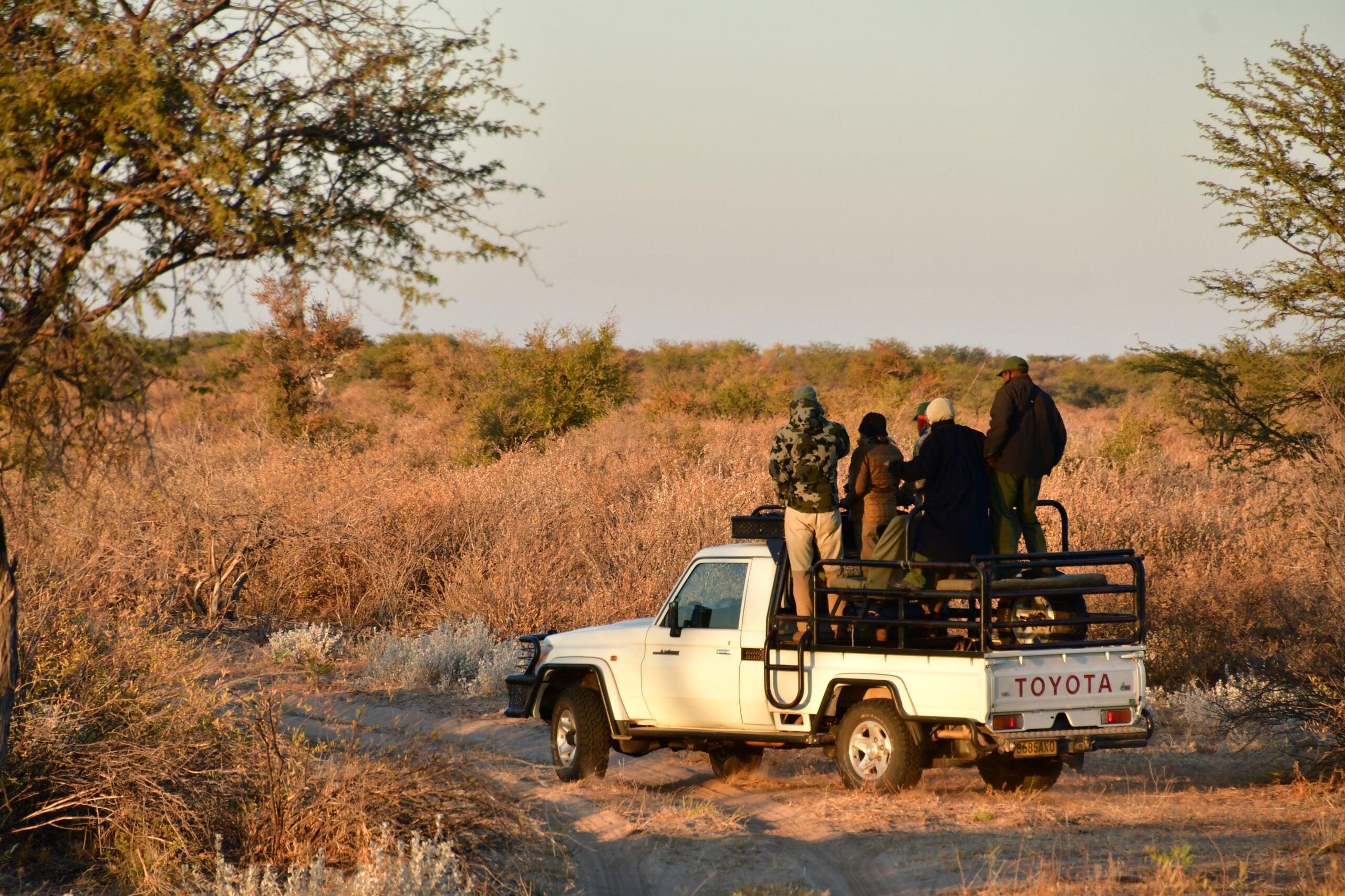 Leopard Hunting in Namibia & Brown Hyena Cancelation Hunt