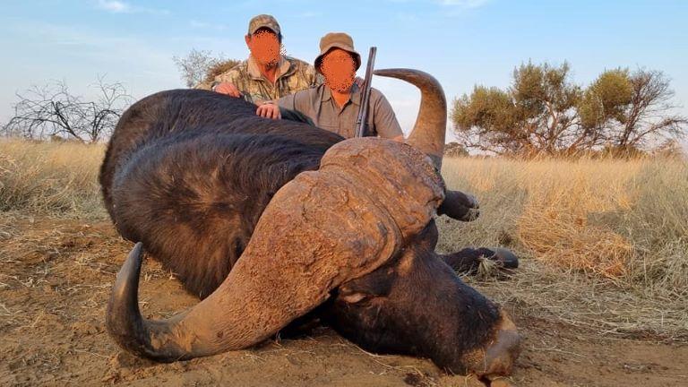 African Buffalo Hunting in Limpopo, South Africa