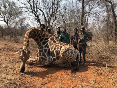 Leopard Hunting in Namibia & Brown Hyena Cancelation Hunt