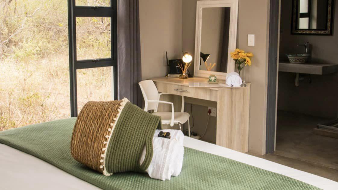 Leopard Hunting in Namibia & Brown Hyena Cancelation Hunt