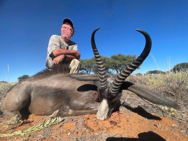 Leopard Hunting in Namibia & Brown Hyena Cancelation Hunt