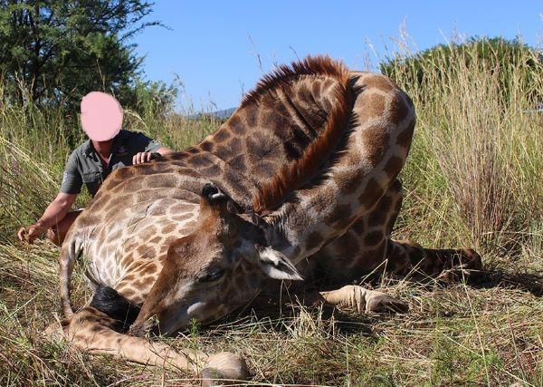 Leopard Hunting in Namibia & Brown Hyena Cancelation Hunt