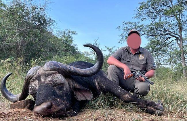 African Hunting Safari Buffalo, Giraffe & 13 Species