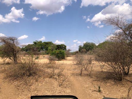 Leopard Hunting in Namibia & Brown Hyena Cancelation Hunt