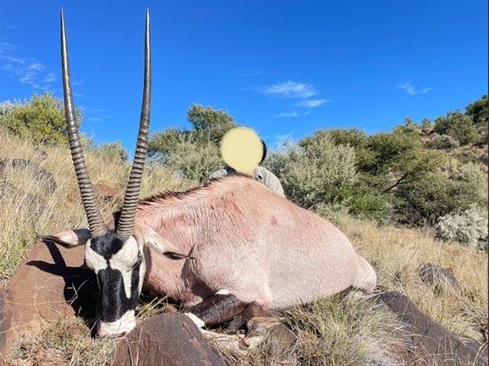 Leopard Hunting in Namibia & Brown Hyena Cancelation Hunt