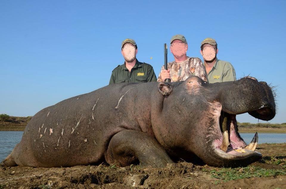 Leopard Hunting in Namibia & Brown Hyena Cancelation Hunt