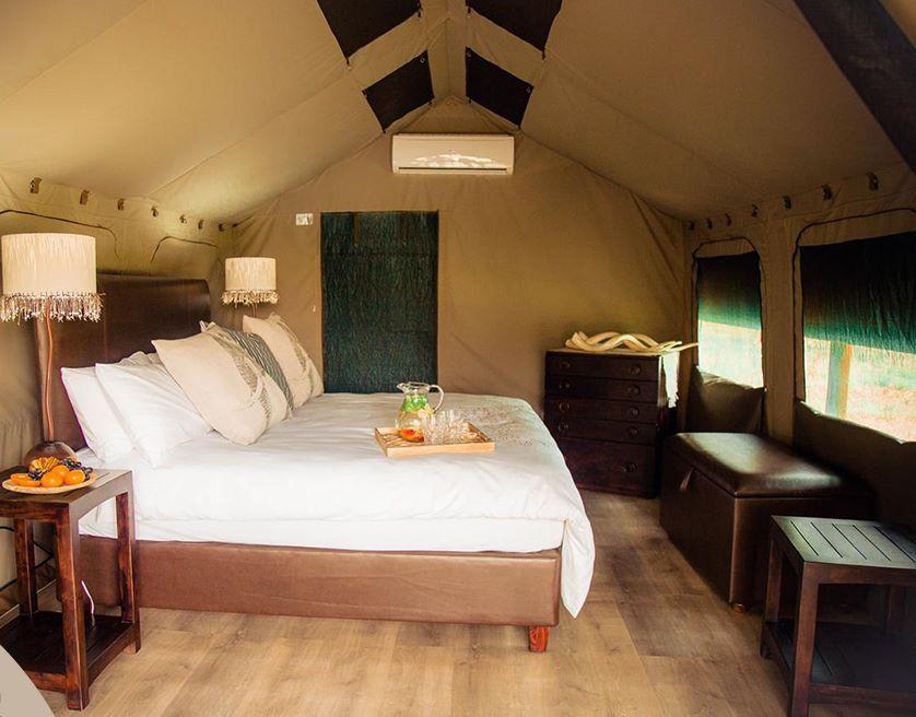 Leopard Hunting in Namibia & Brown Hyena Cancelation Hunt