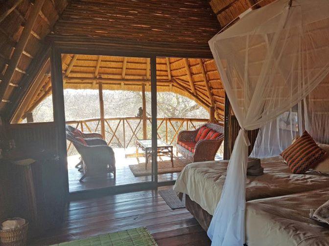 Leopard Hunting in Namibia & Brown Hyena Cancelation Hunt