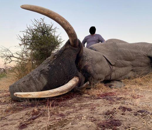 Leopard Hunting in Namibia & Brown Hyena Cancelation Hunt