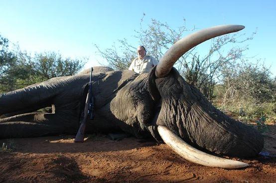 Leopard Hunting in Namibia & Brown Hyena Cancelation Hunt