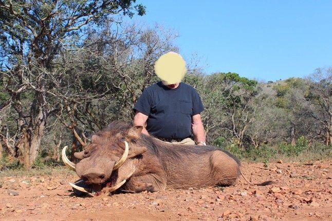 Leopard Hunting in Namibia & Brown Hyena Cancelation Hunt