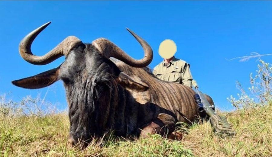 Leopard Hunting in Namibia & Brown Hyena Cancelation Hunt