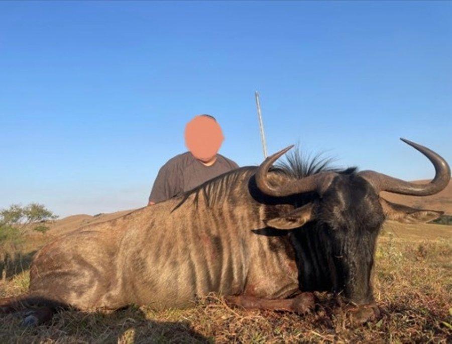 Leopard Hunting in Namibia & Brown Hyena Cancelation Hunt