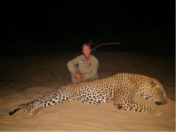 Leopard Hunting in Namibia & Brown Hyena Cancelation Hunt